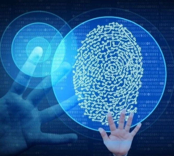 Biometric fingerprint and palm recognition