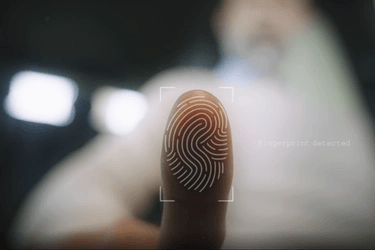 Fingerprint recognition