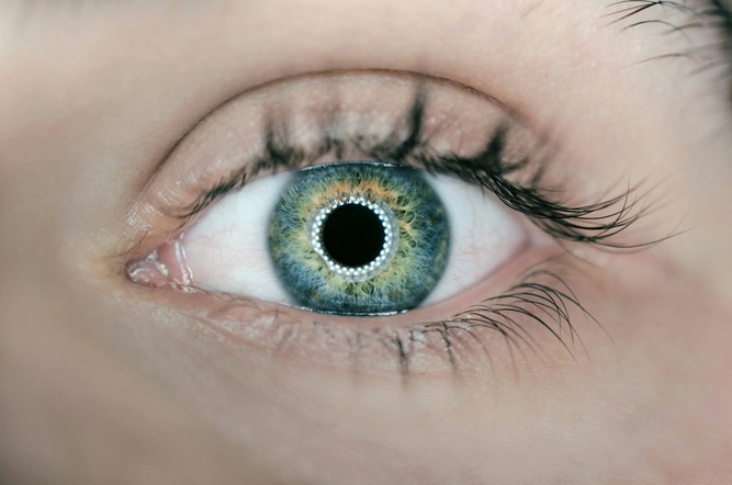 Precise Biometrics Vision framework